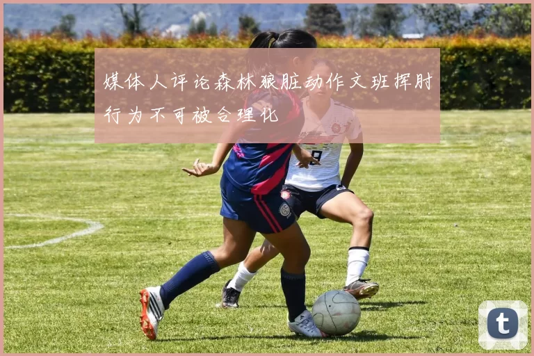 媒体人评论森林狼脏动作文班挥肘行为不可被合理化